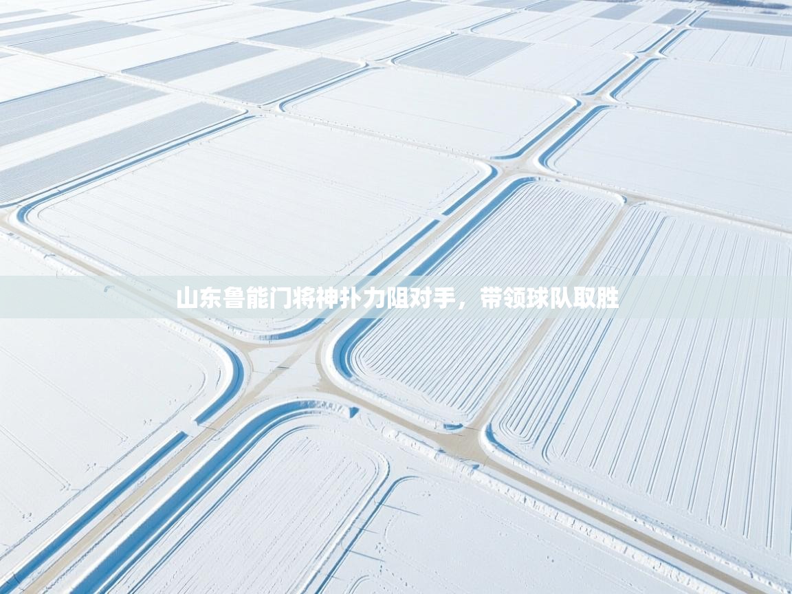 山东鲁能门将神扑力阻对手，带领球队取胜  第2张