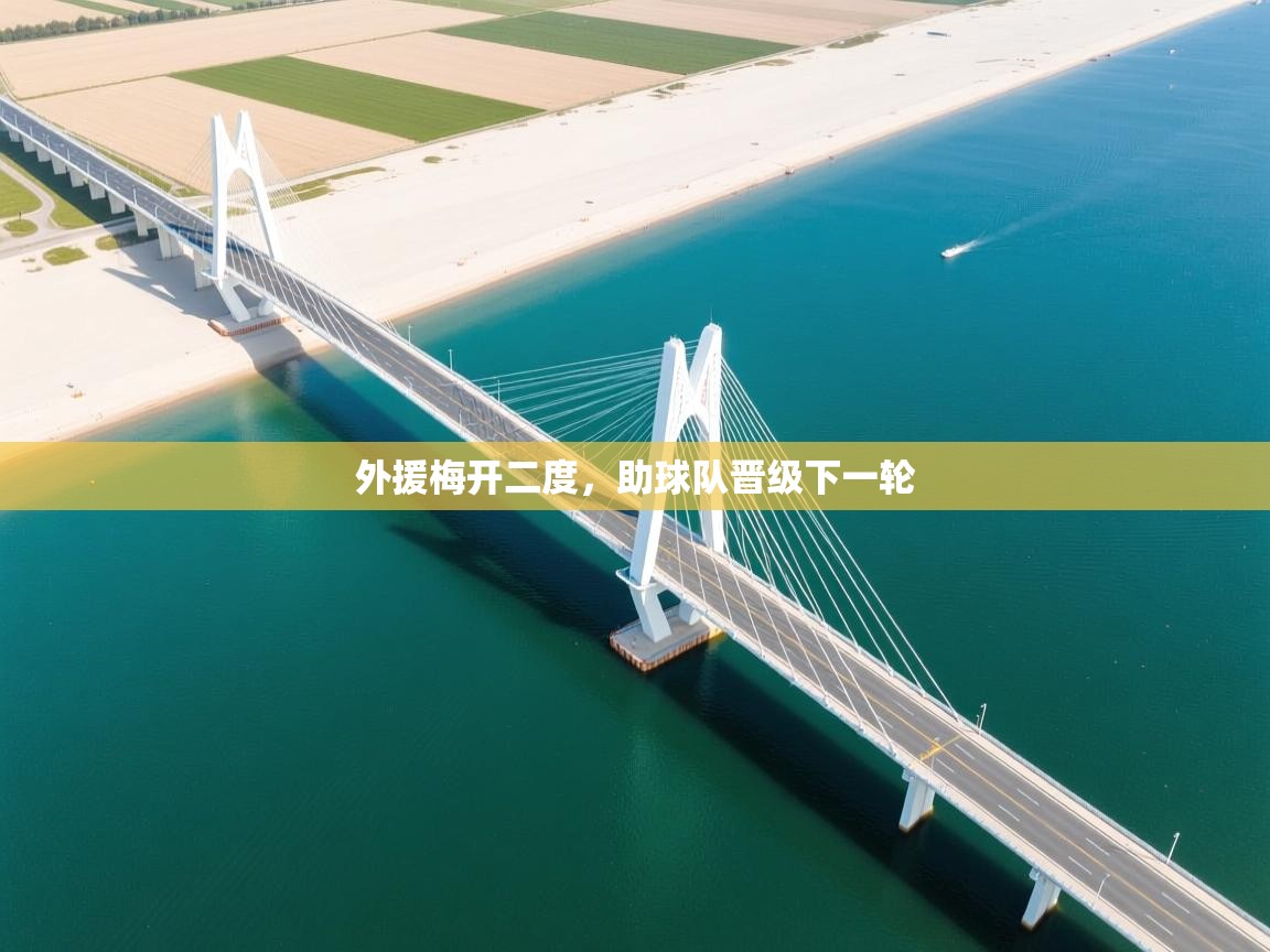 外援梅开二度,助球队晋级下一轮 第1张