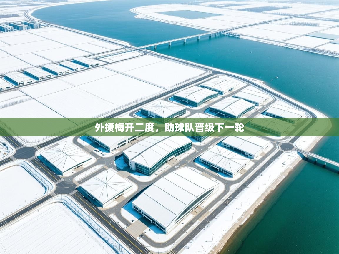 外援梅开二度,助球队晋级下一轮 第2张