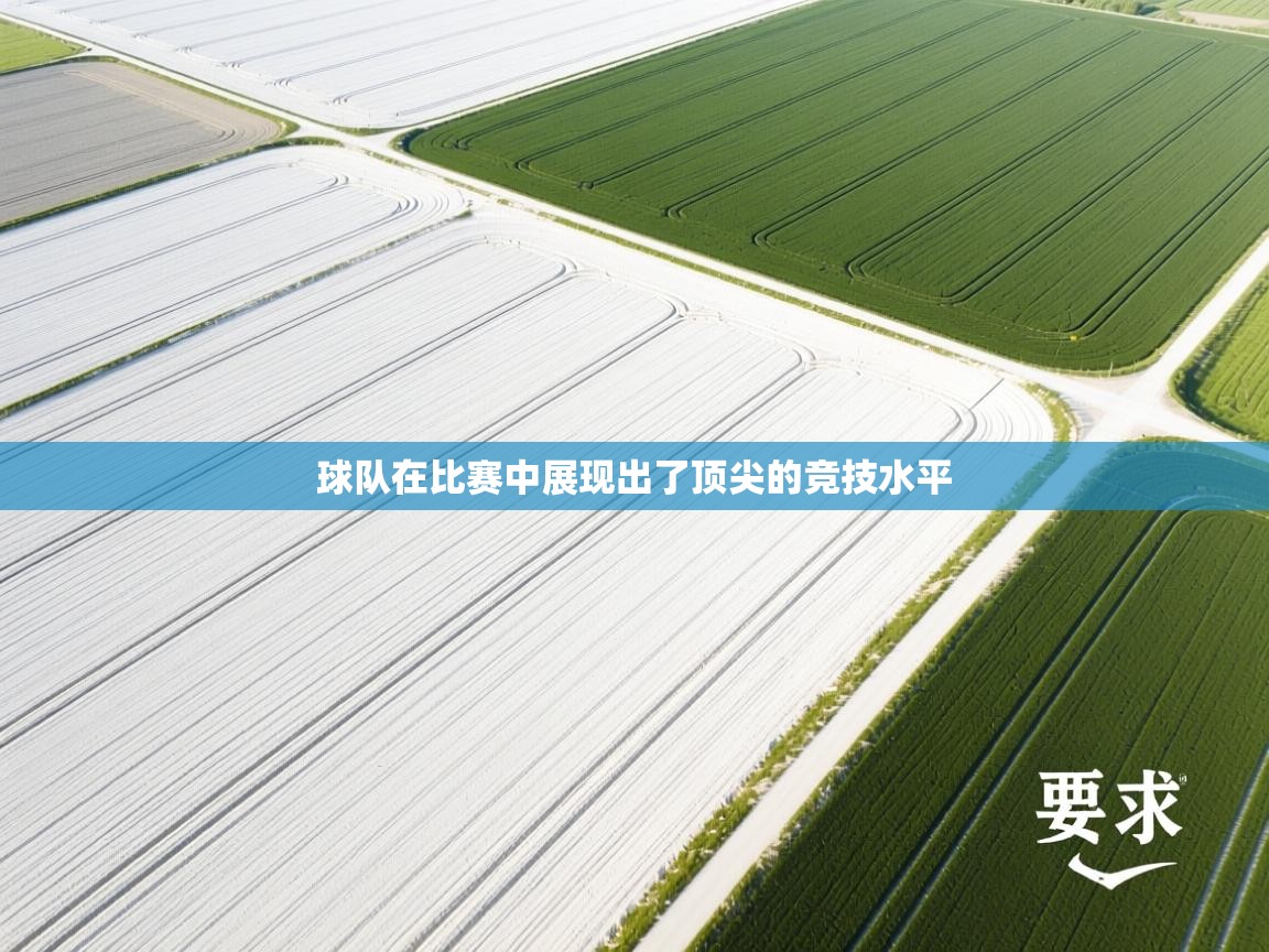球队在比赛中展现出了顶尖的竞技水平